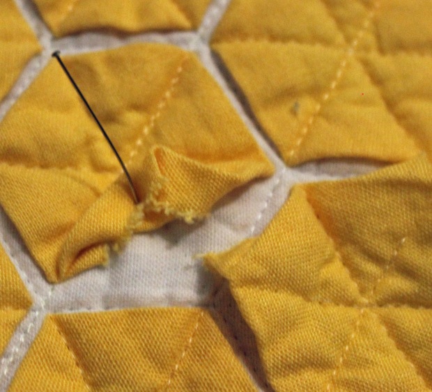 yellow hexies up close